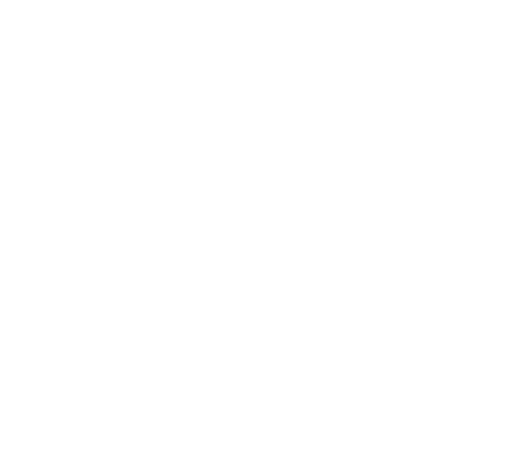 Logo de Vision Starter